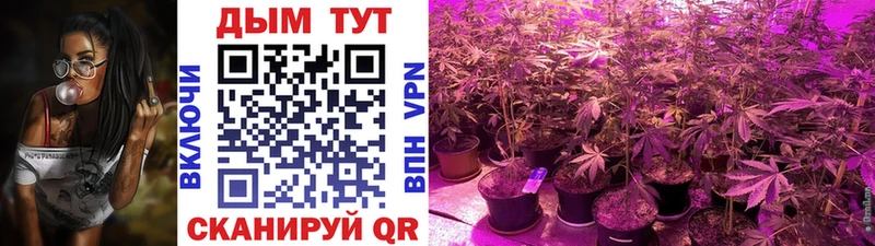 Канабис ГИДРОПОН  Среднеуральск 